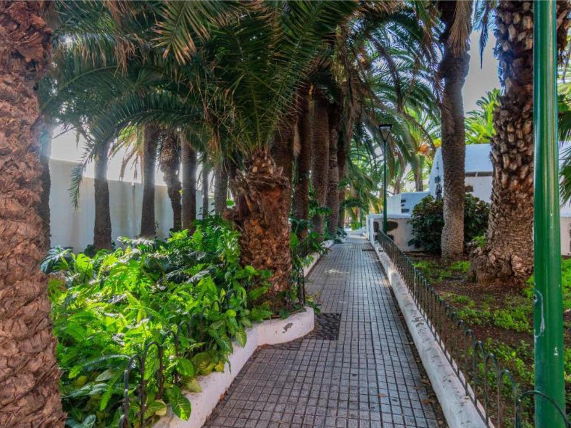 Live Puerto Valle Luz Puerto de la Cruz  Exterior photo